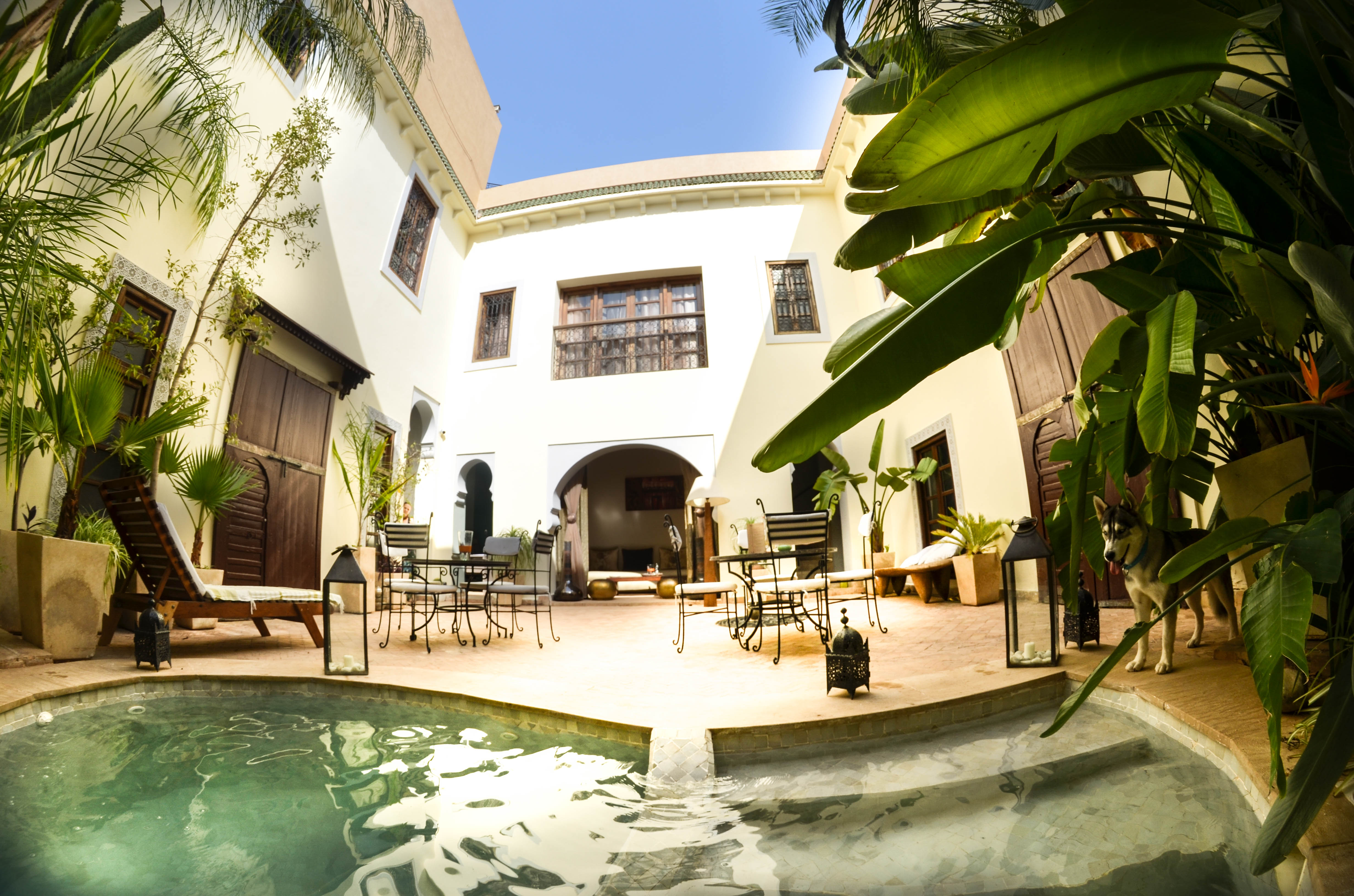 Riad Les Ammonites