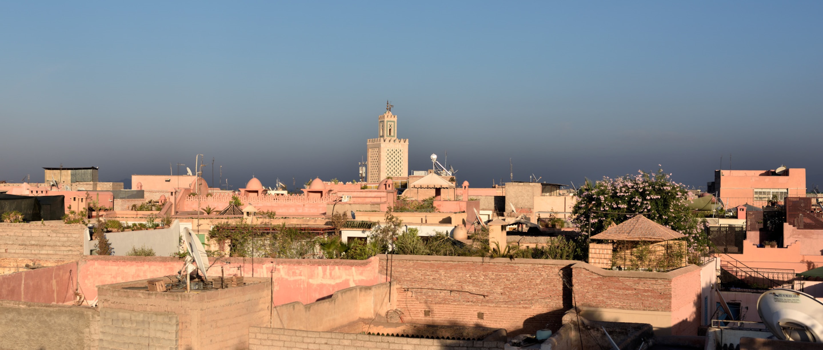 Riad Les Ammonites