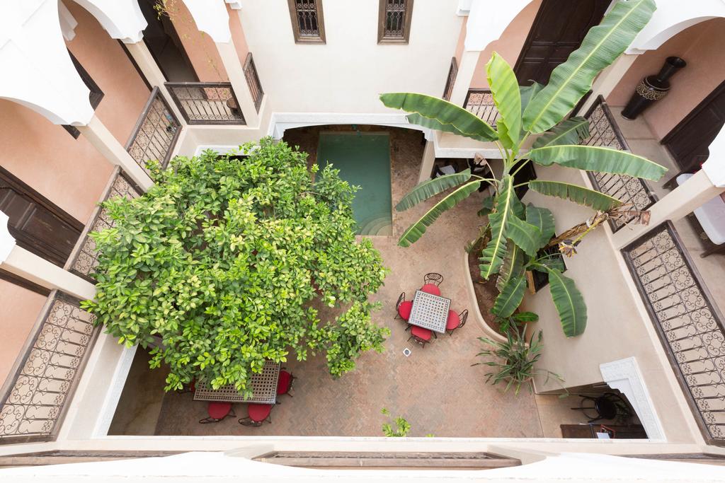 Riad l'Oiseau Du Paradis
