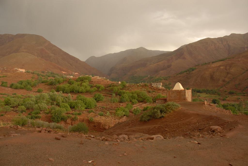Riad Lorsya