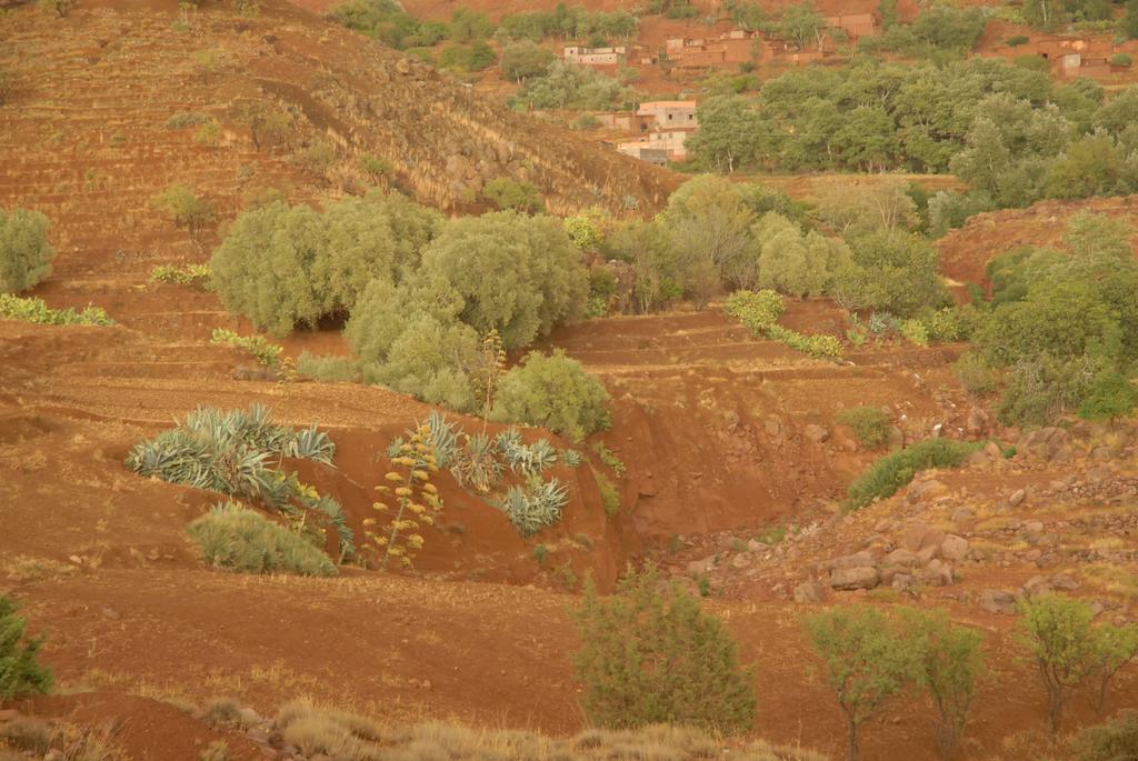 Riad Lorsya