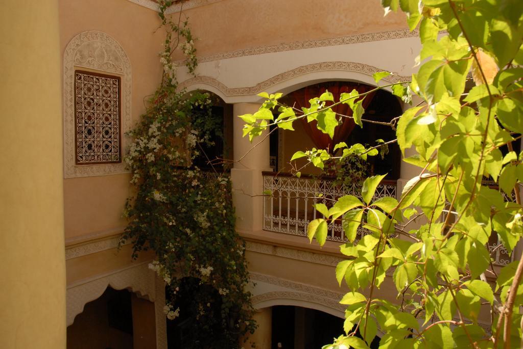 Riad Lorsya