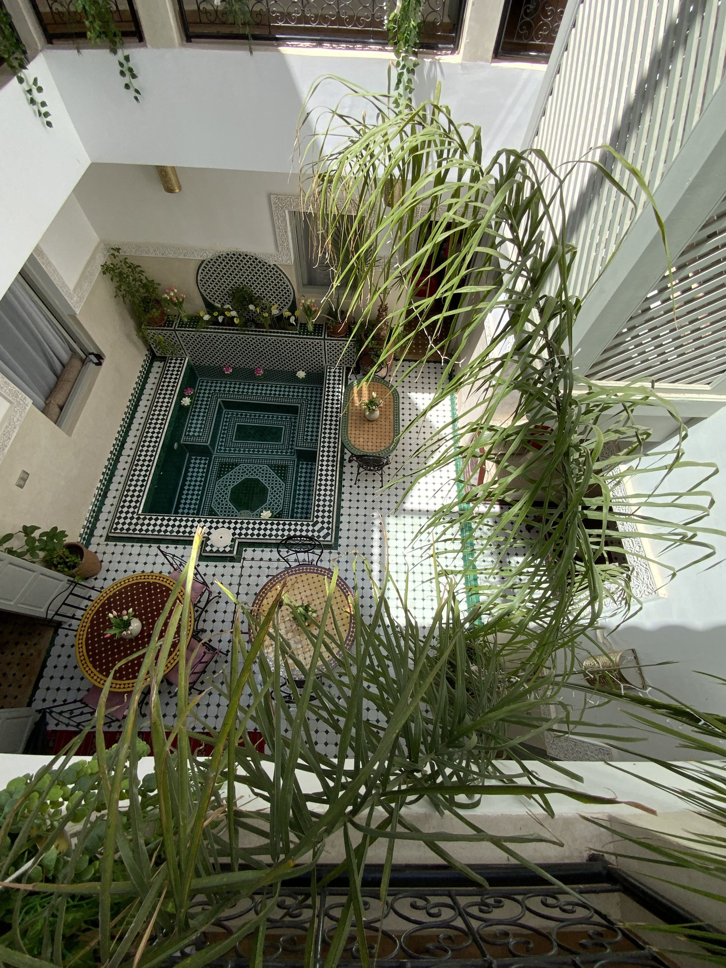 Riad magnolia privative
