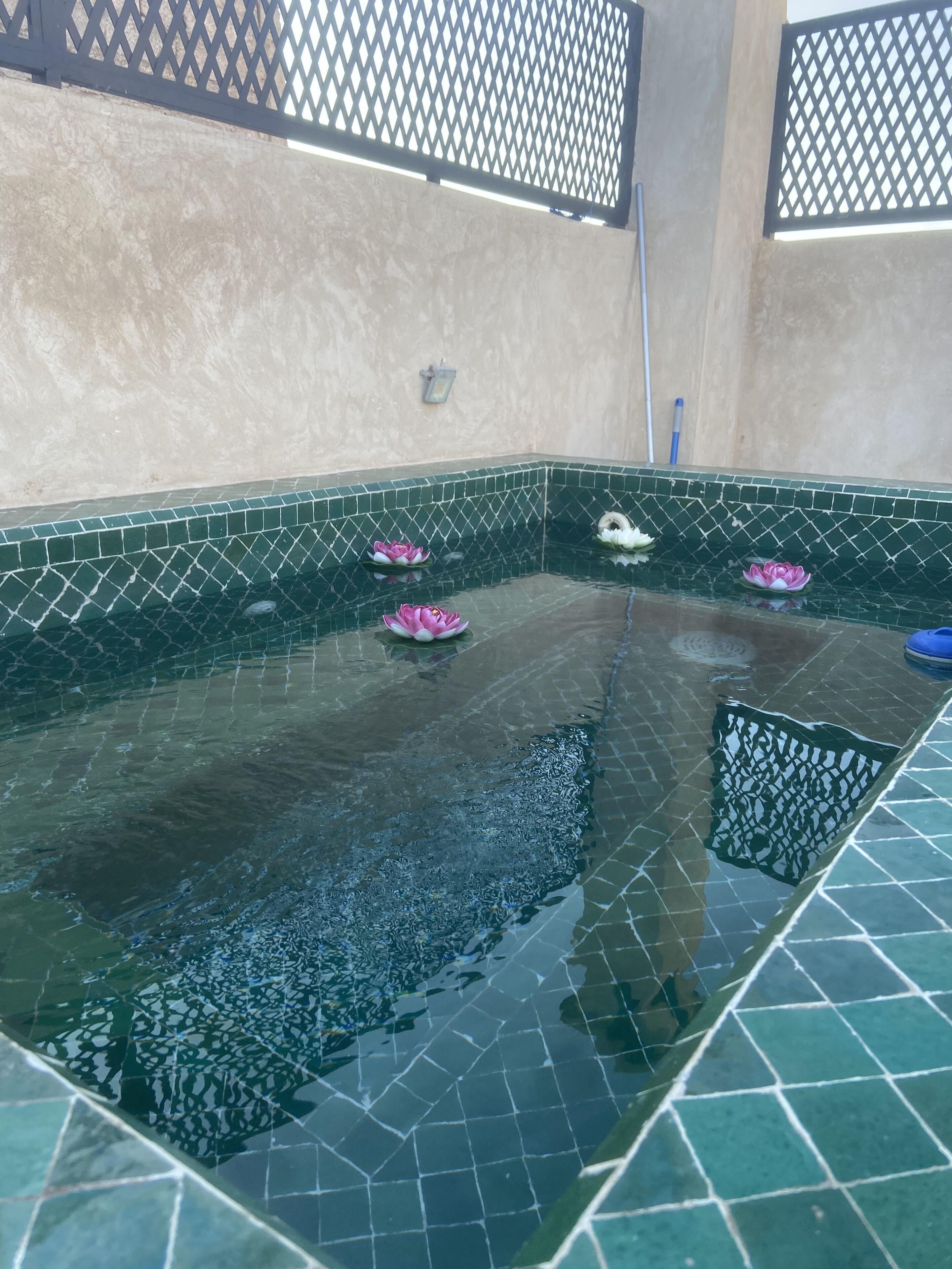 Riad magnolia privative