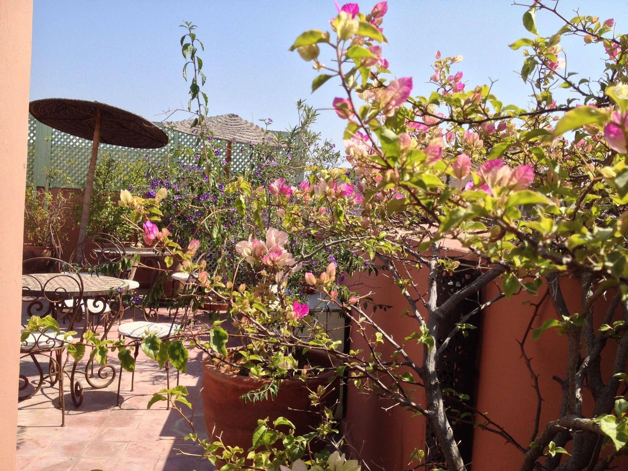 Riad Mariana