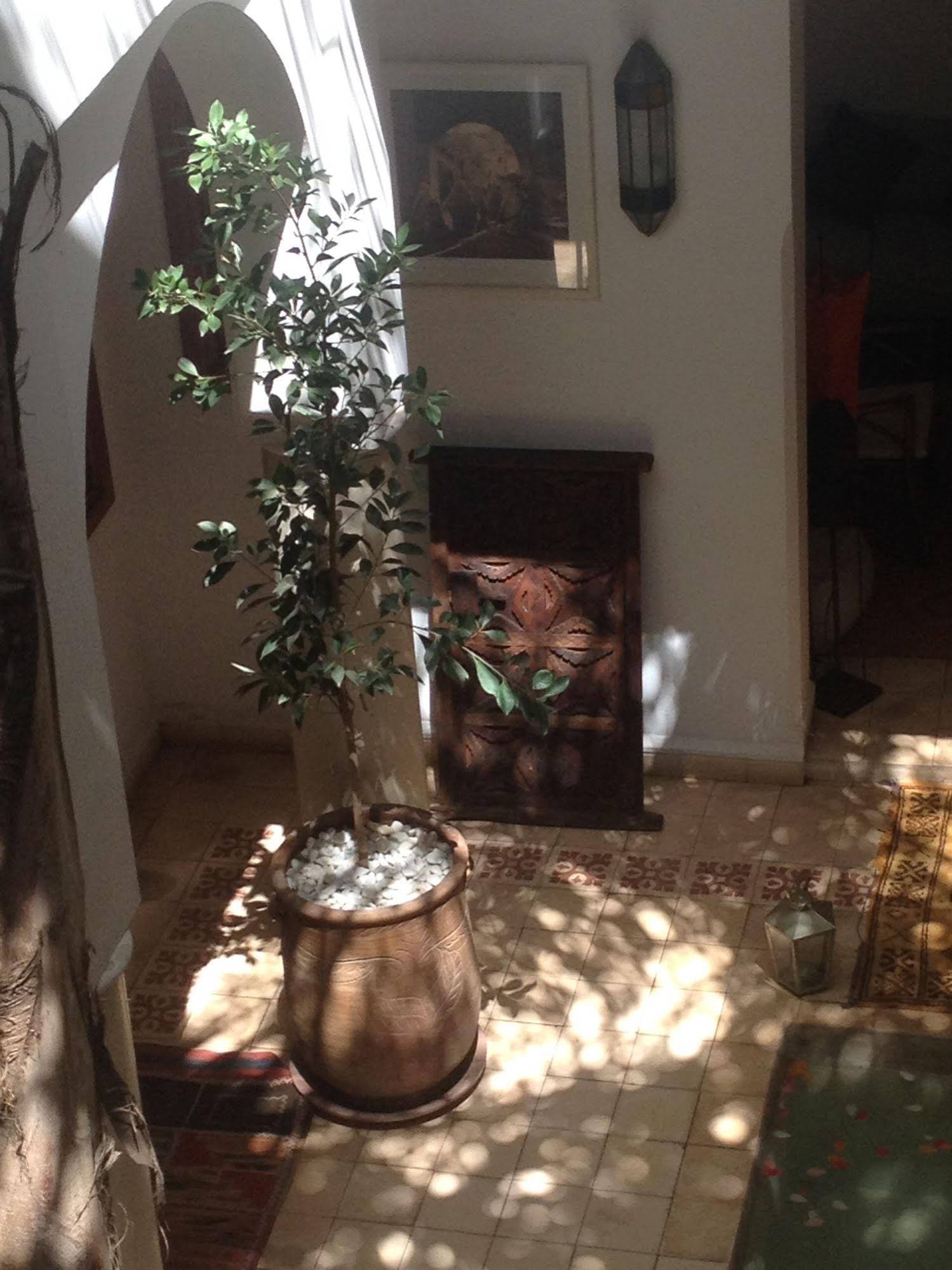 Riad Mariana