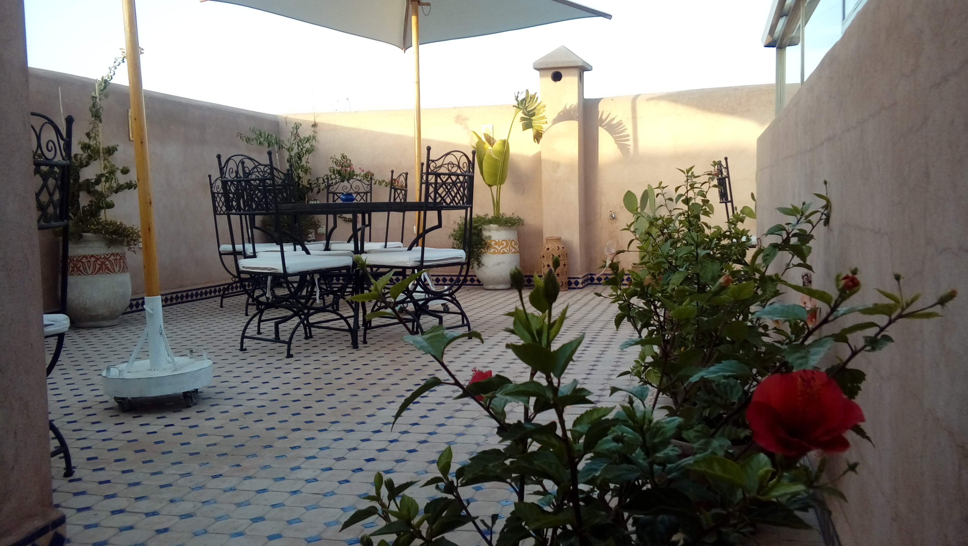 Riad Miral