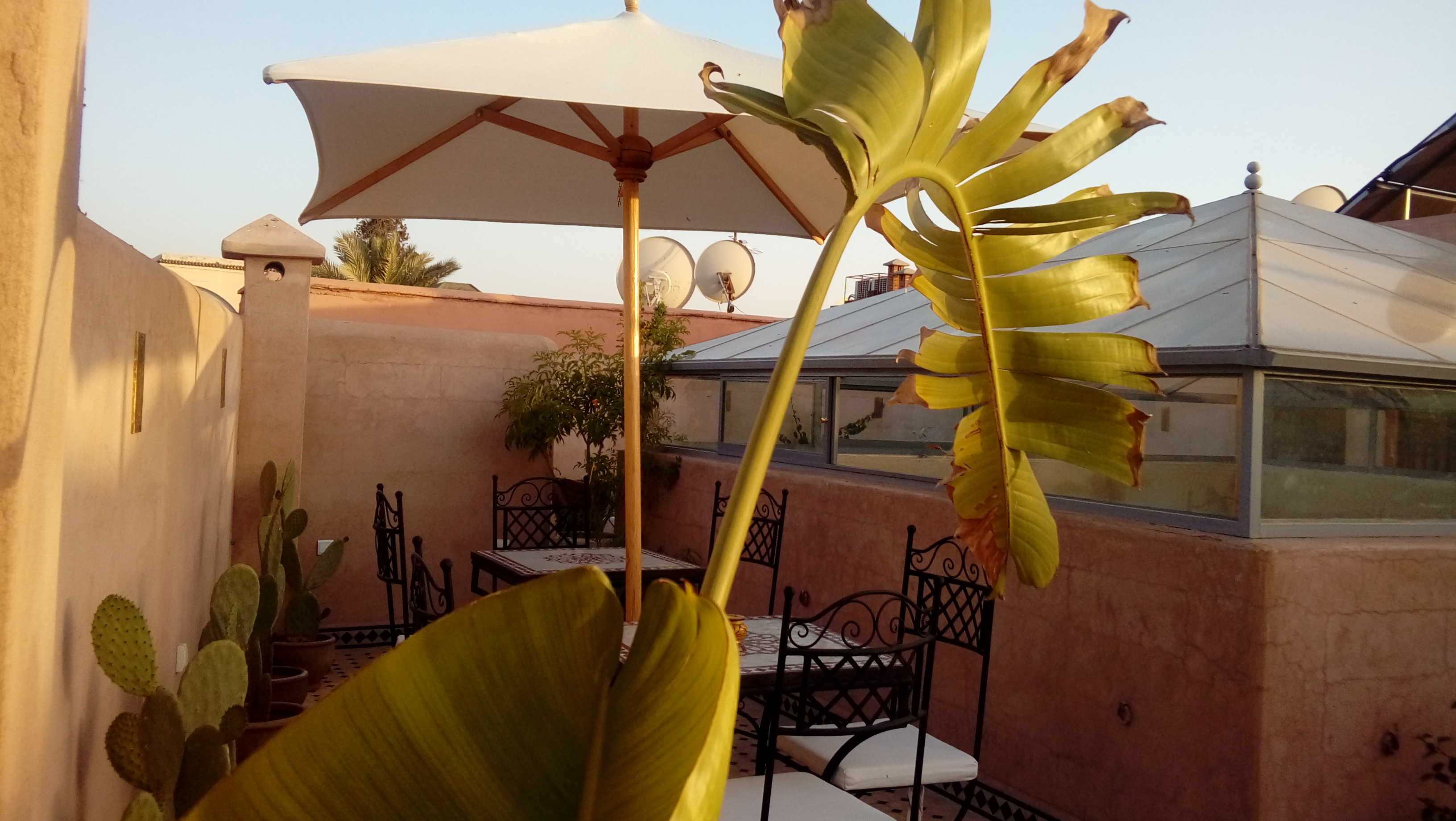 Riad Miral