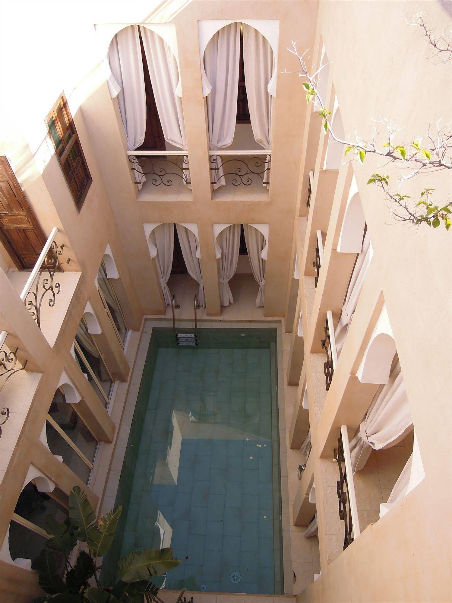 Riad Nafis