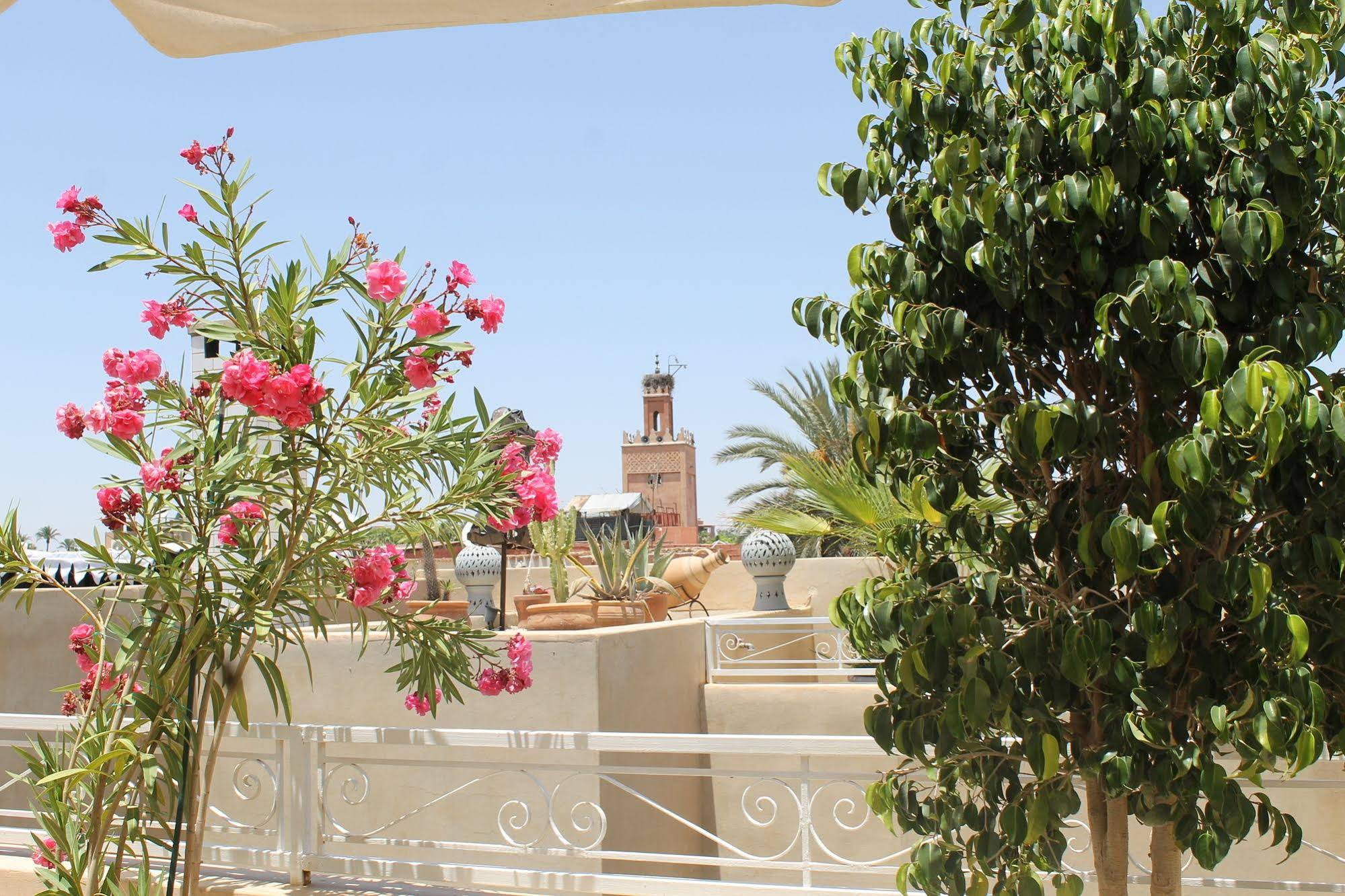 Riad Nafis