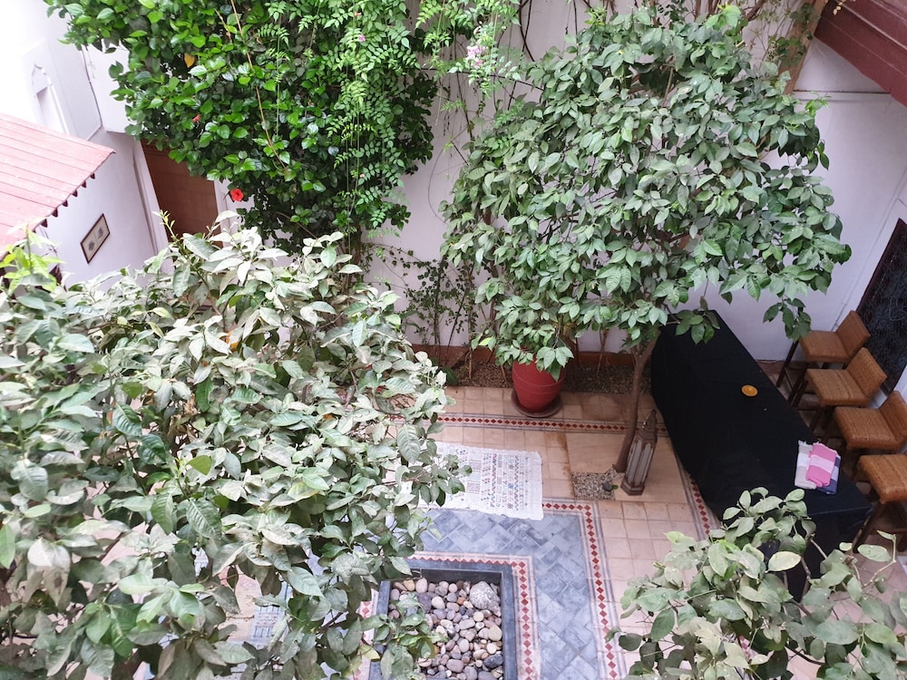 Riad Neela