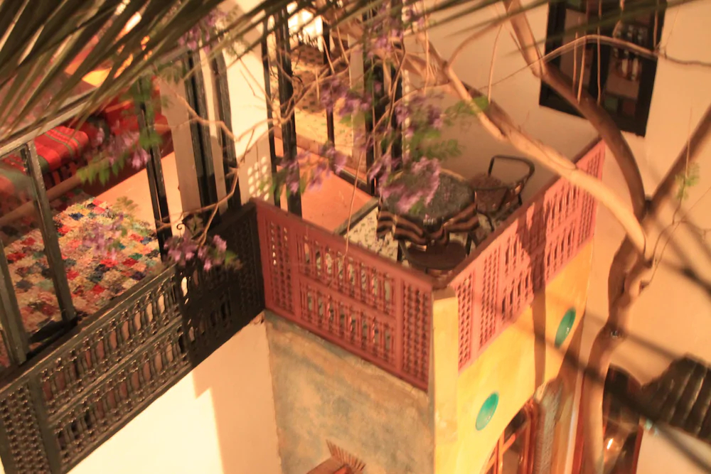 Riad O-ly