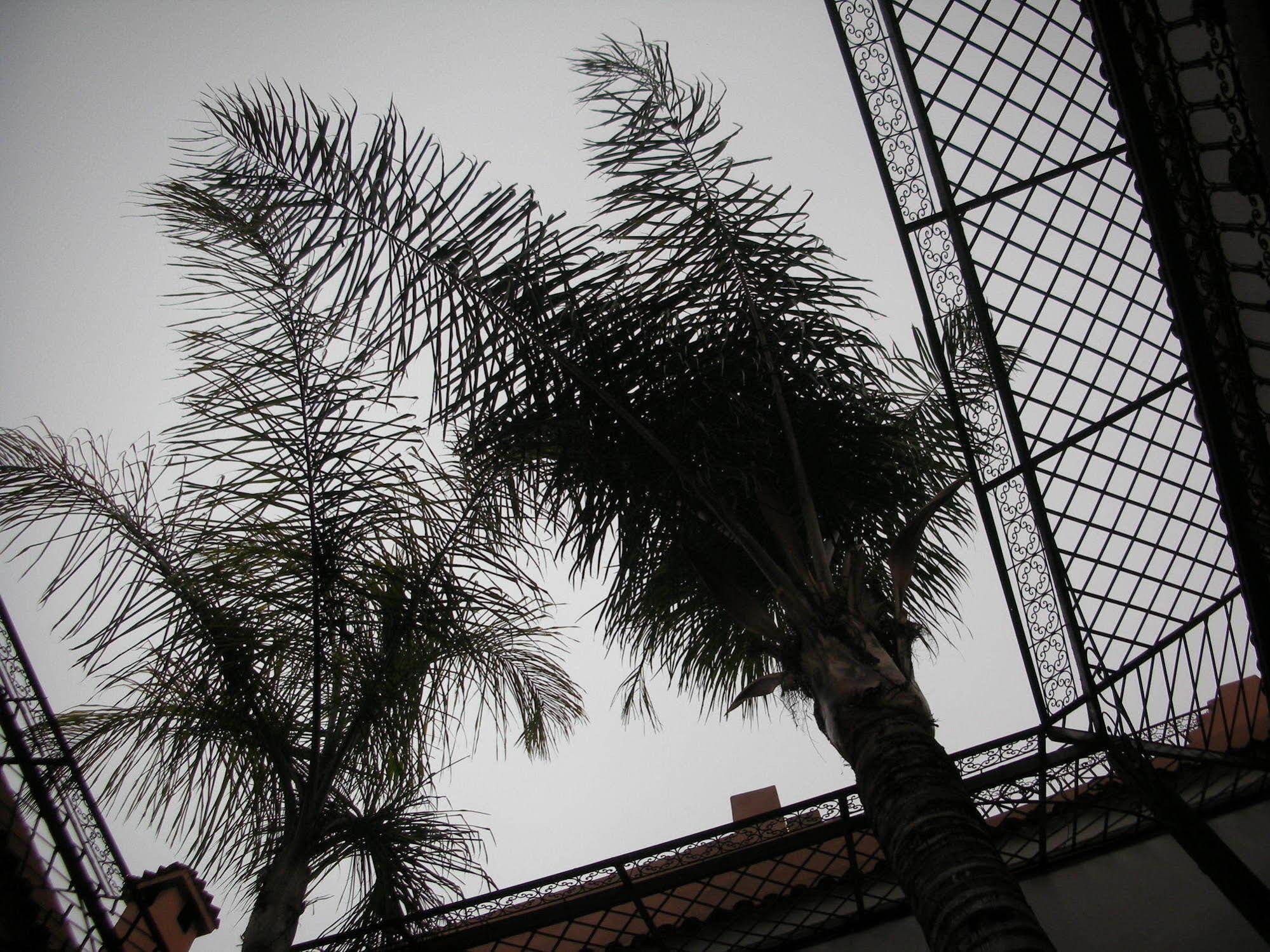 Riad Osefina