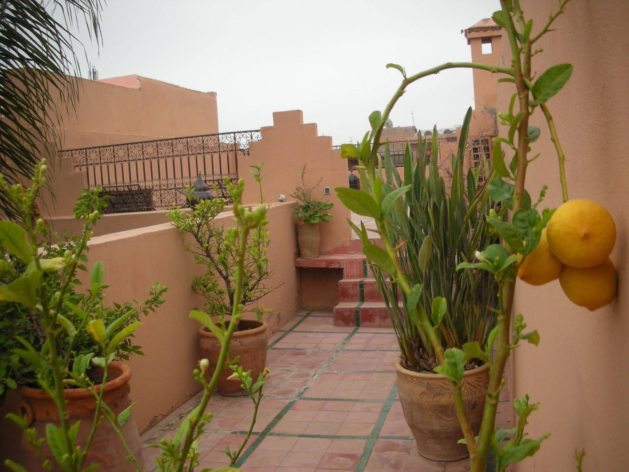 Riad Osefina