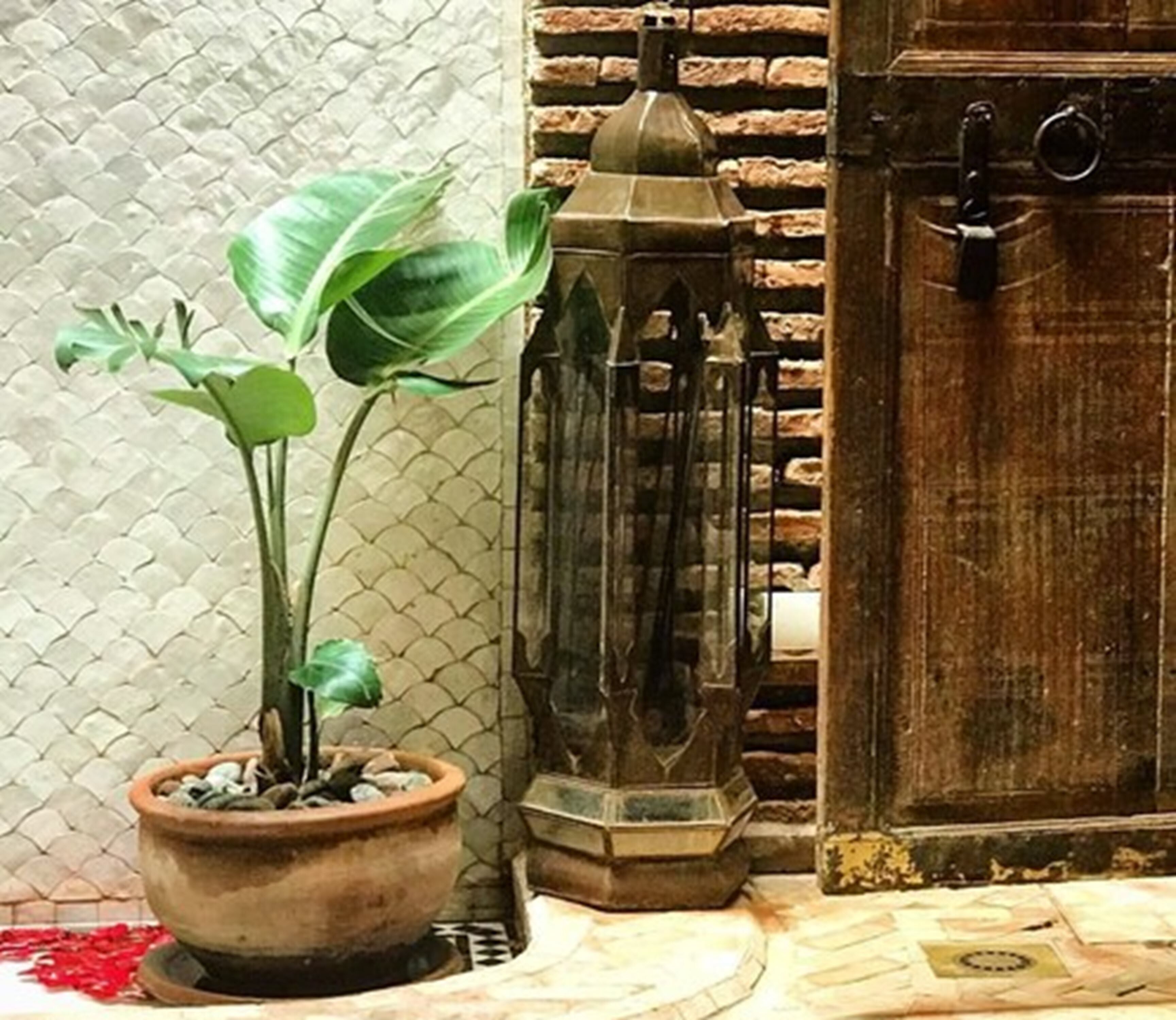 Riad Palacio de Las Especias