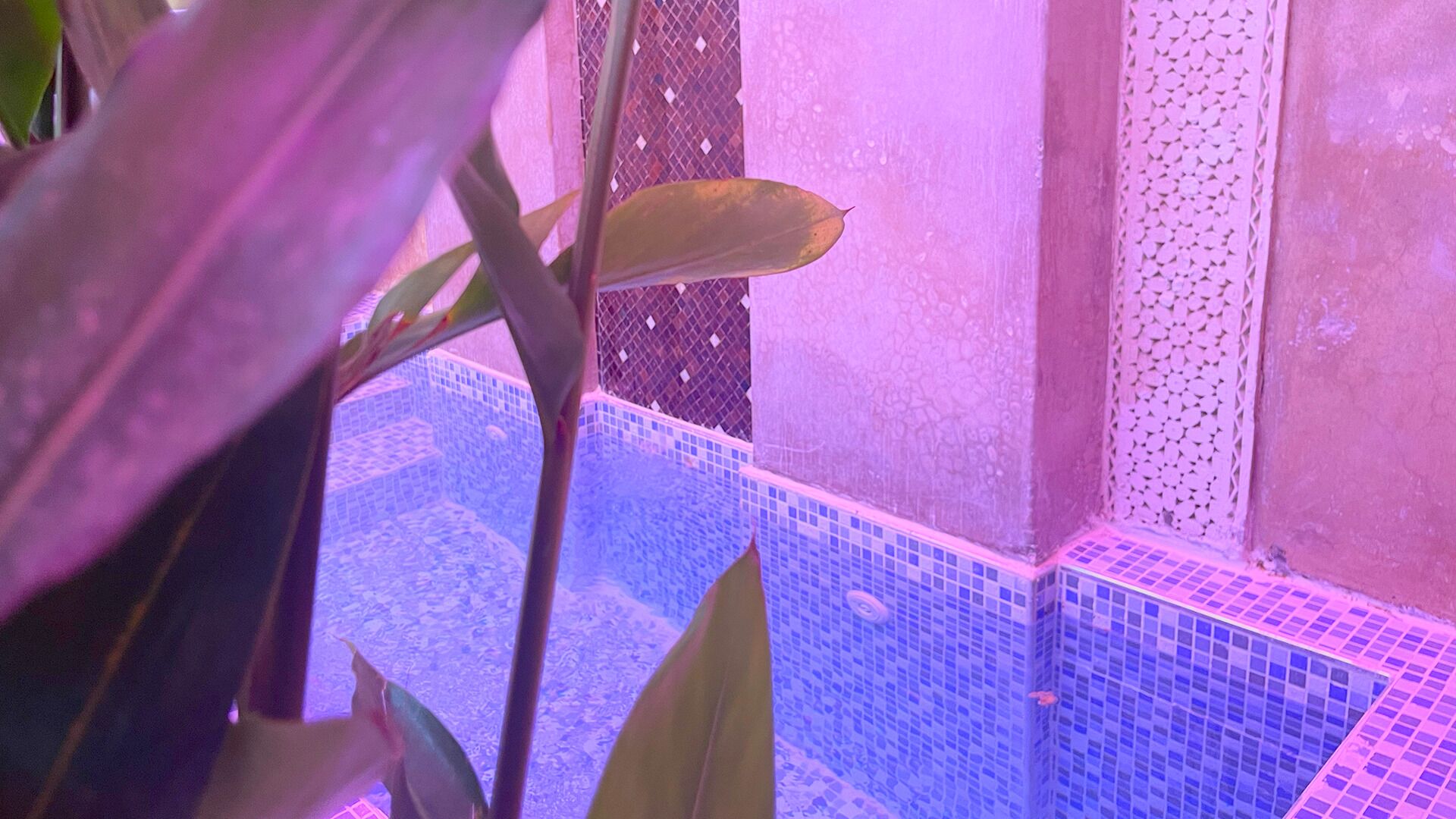 Riad Pourpre Médina