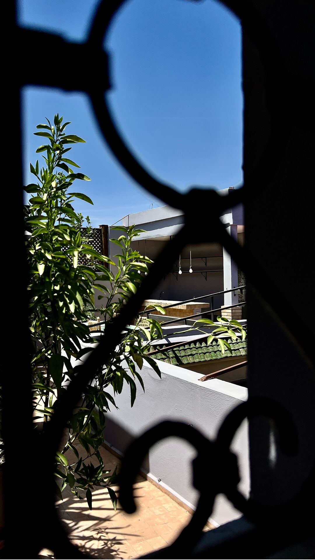 Riad Pourpre Médina