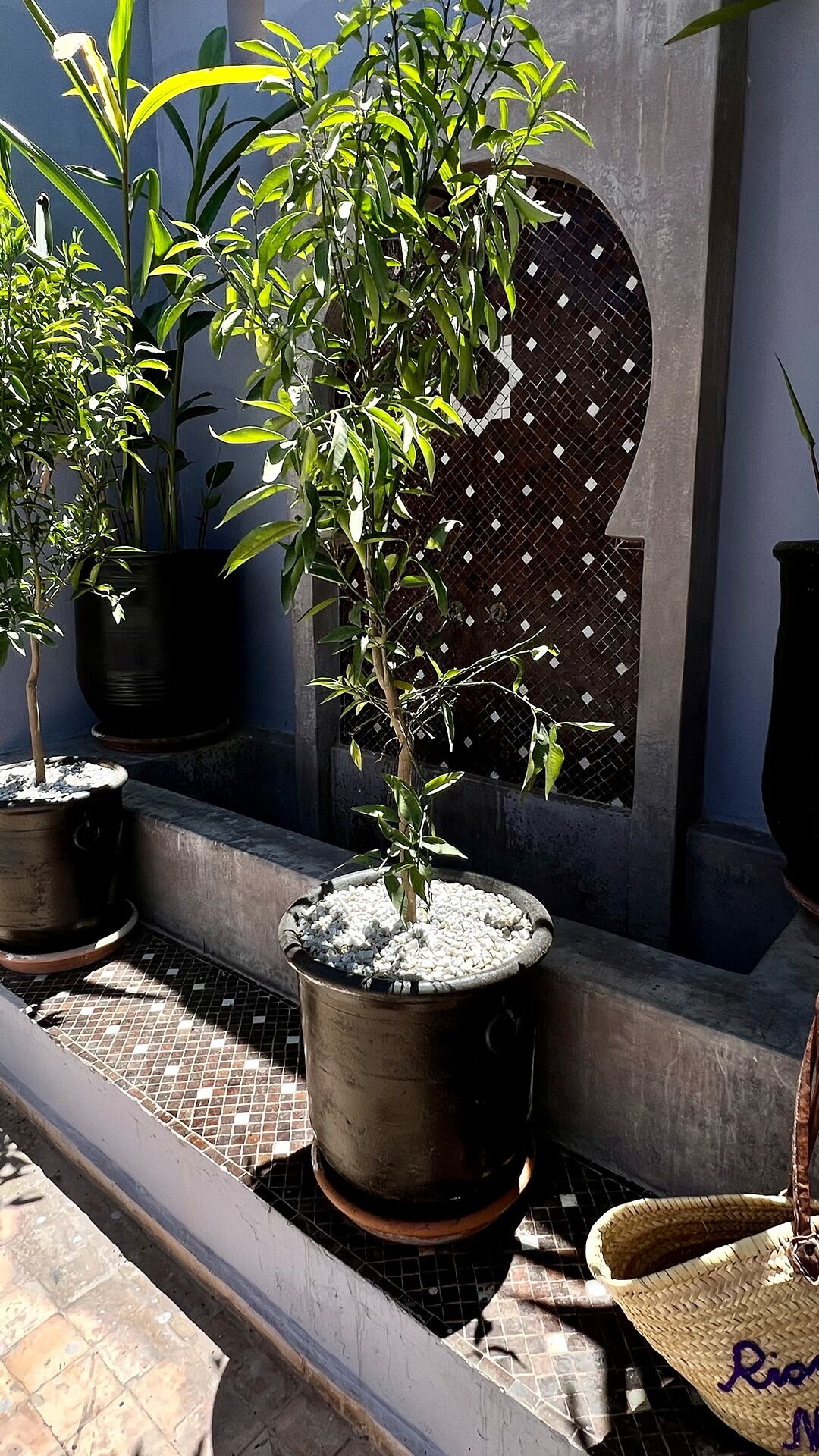 Riad Pourpre Médina