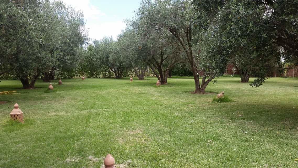 Riad Sidi Hicham
