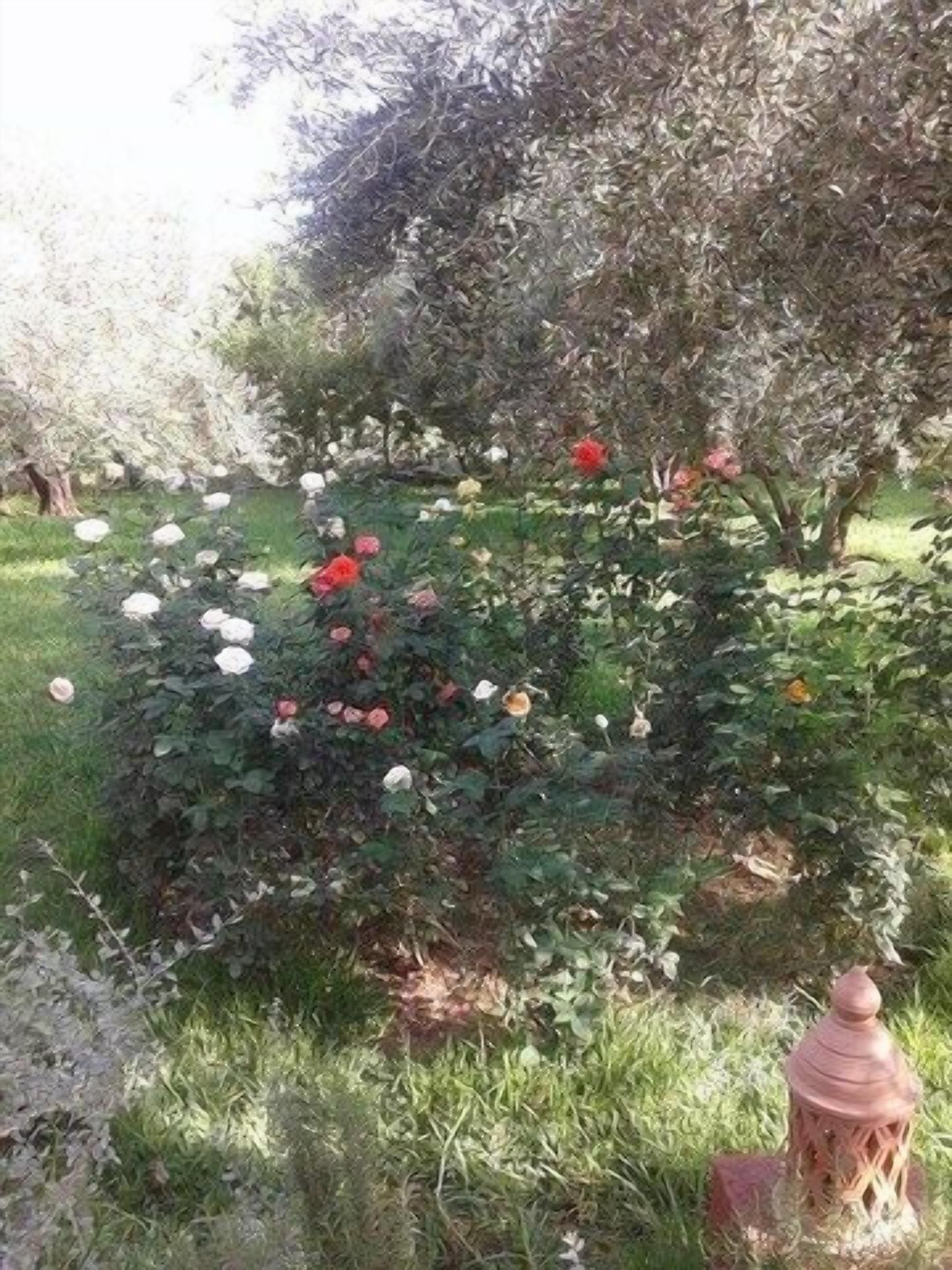 Riad Sidi Hicham