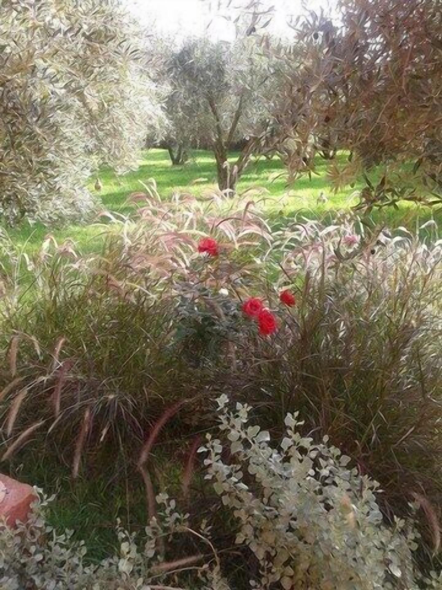 Riad Sidi Hicham