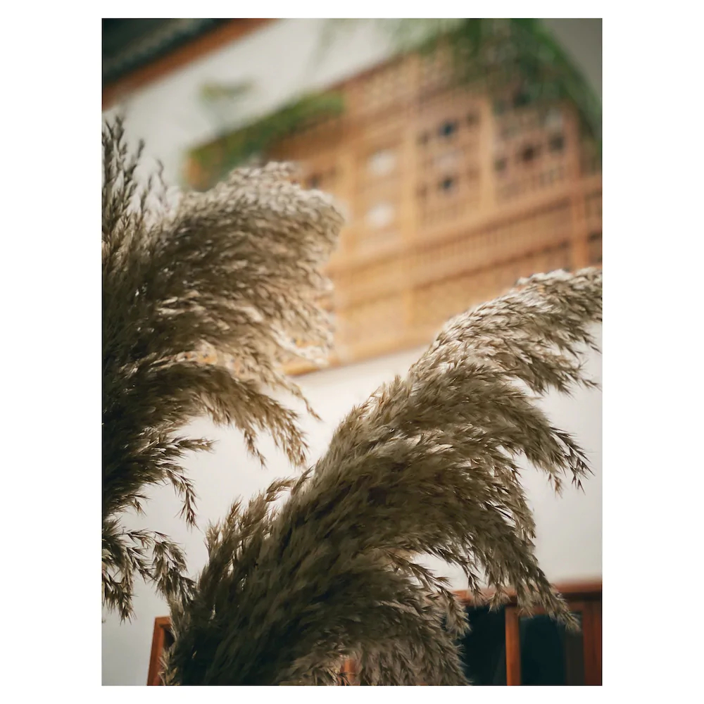 Kahena Lifestyle Concept