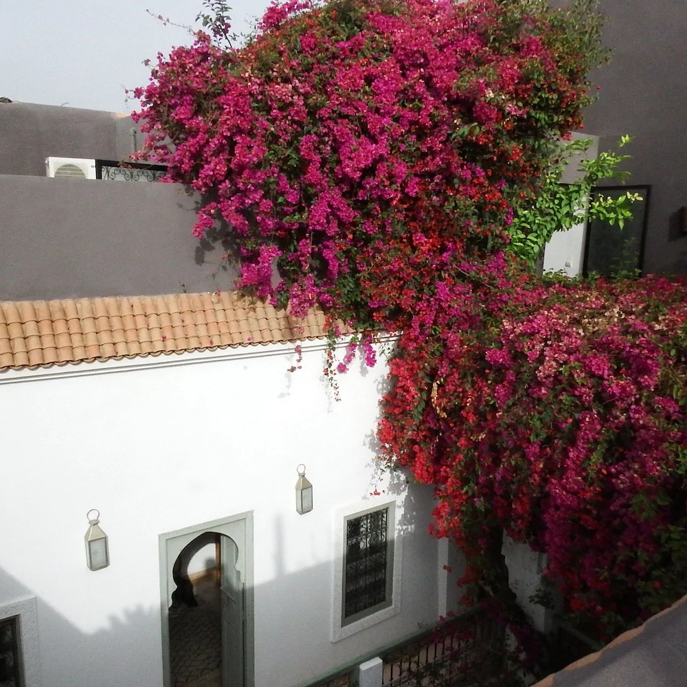 Riad Timila