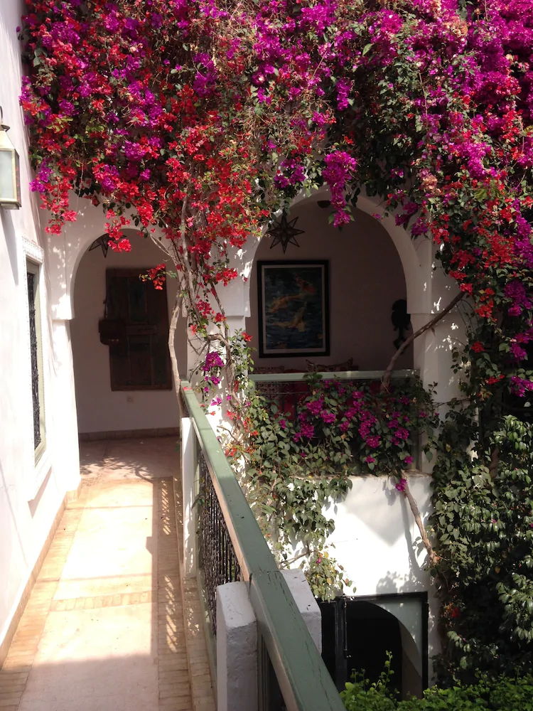 Riad Timila