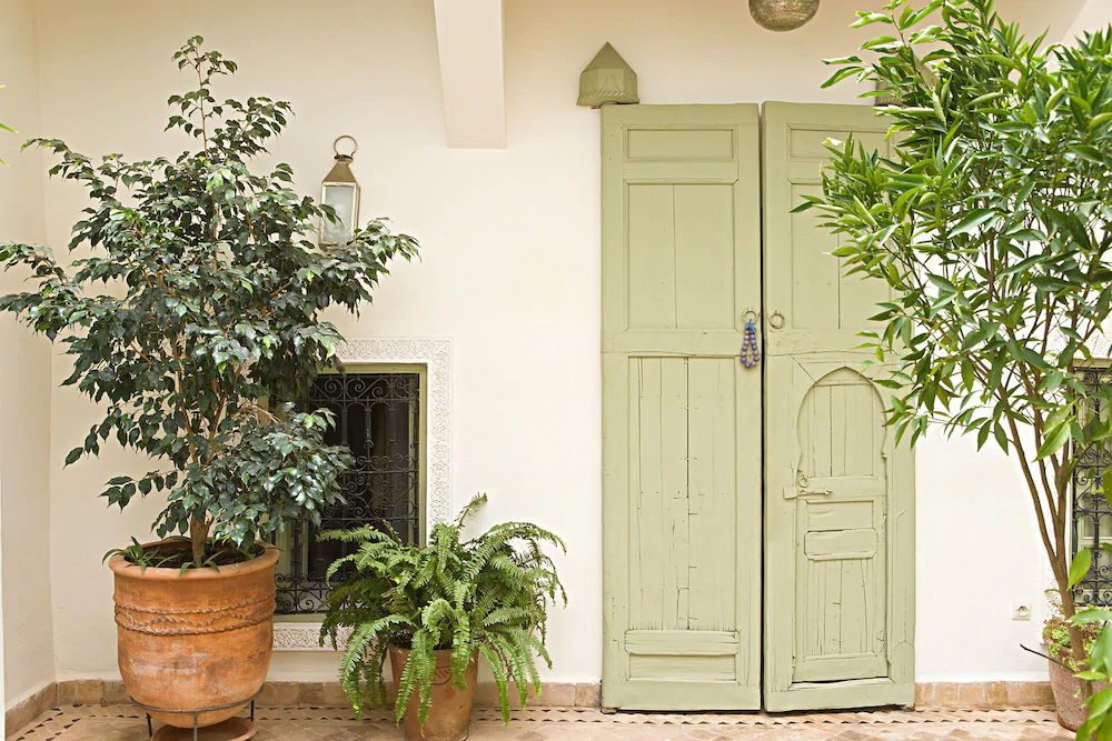 Riad Timila