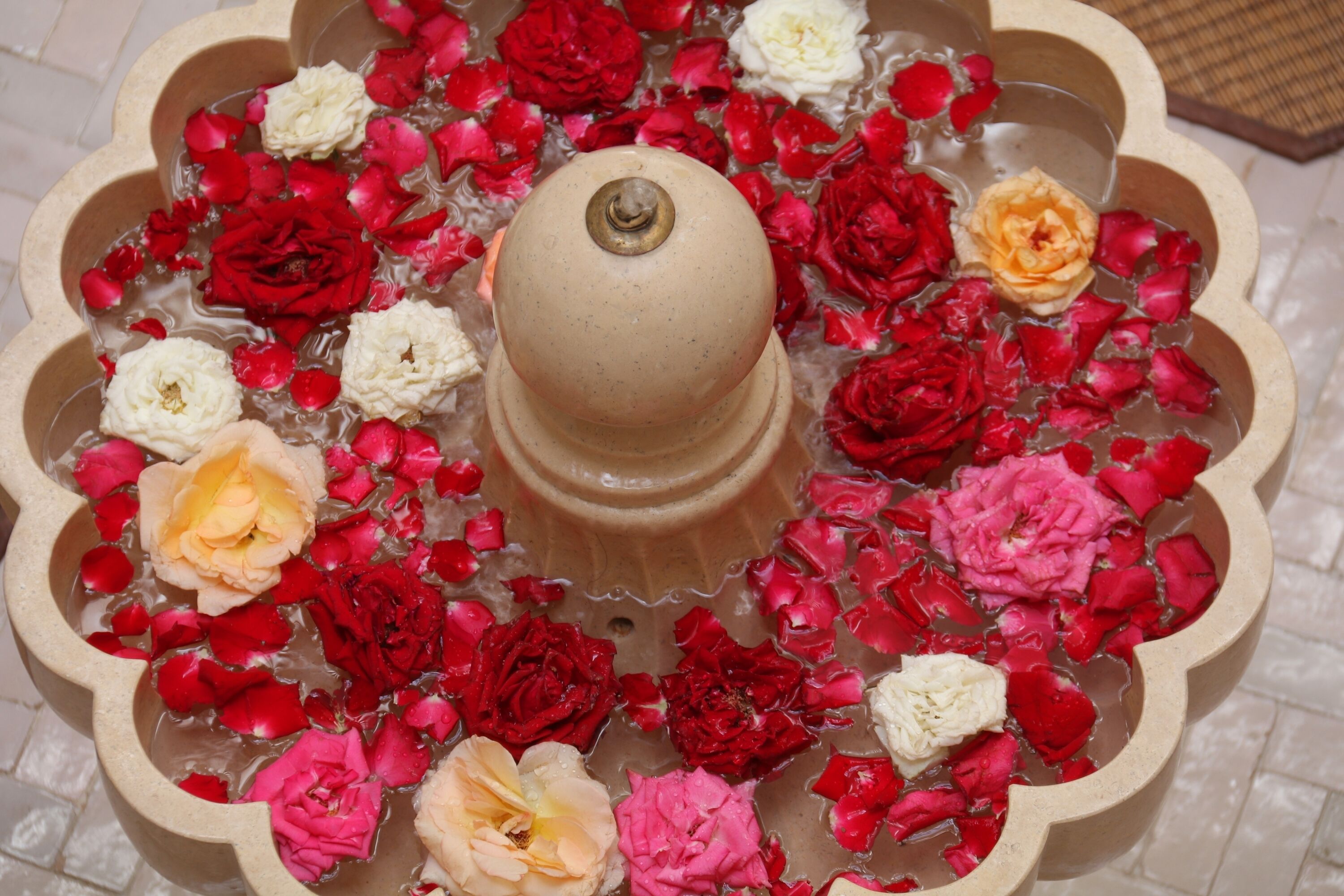 Riad Wazani Square & SPA