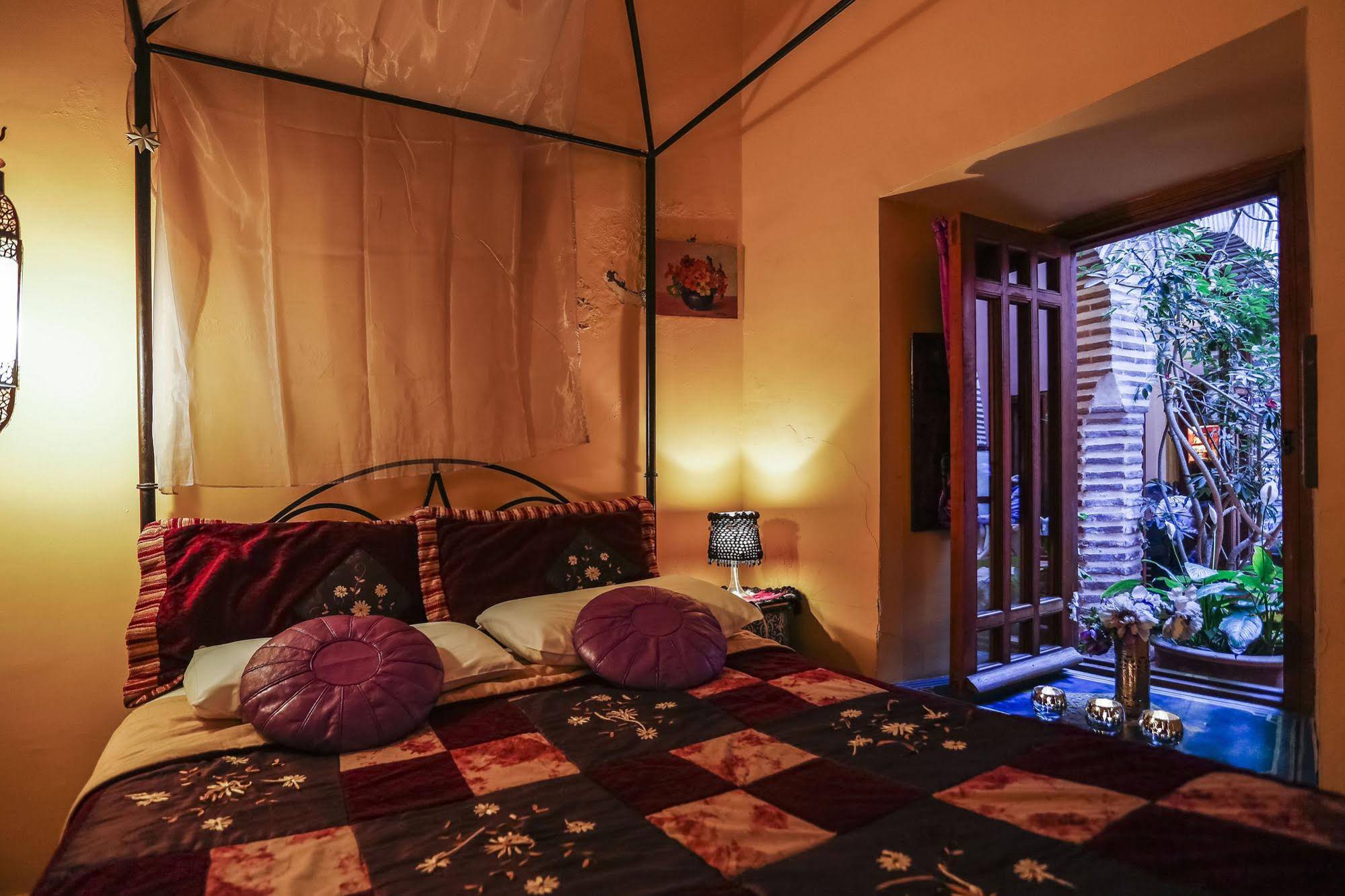 Riad Zarka