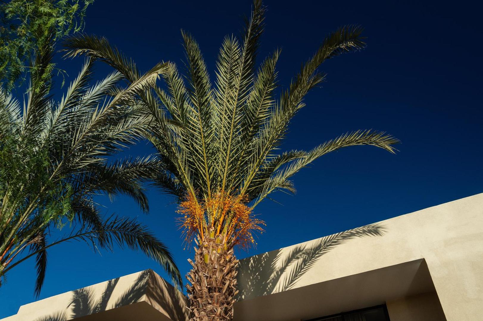 Sirayane Boutique & Spa