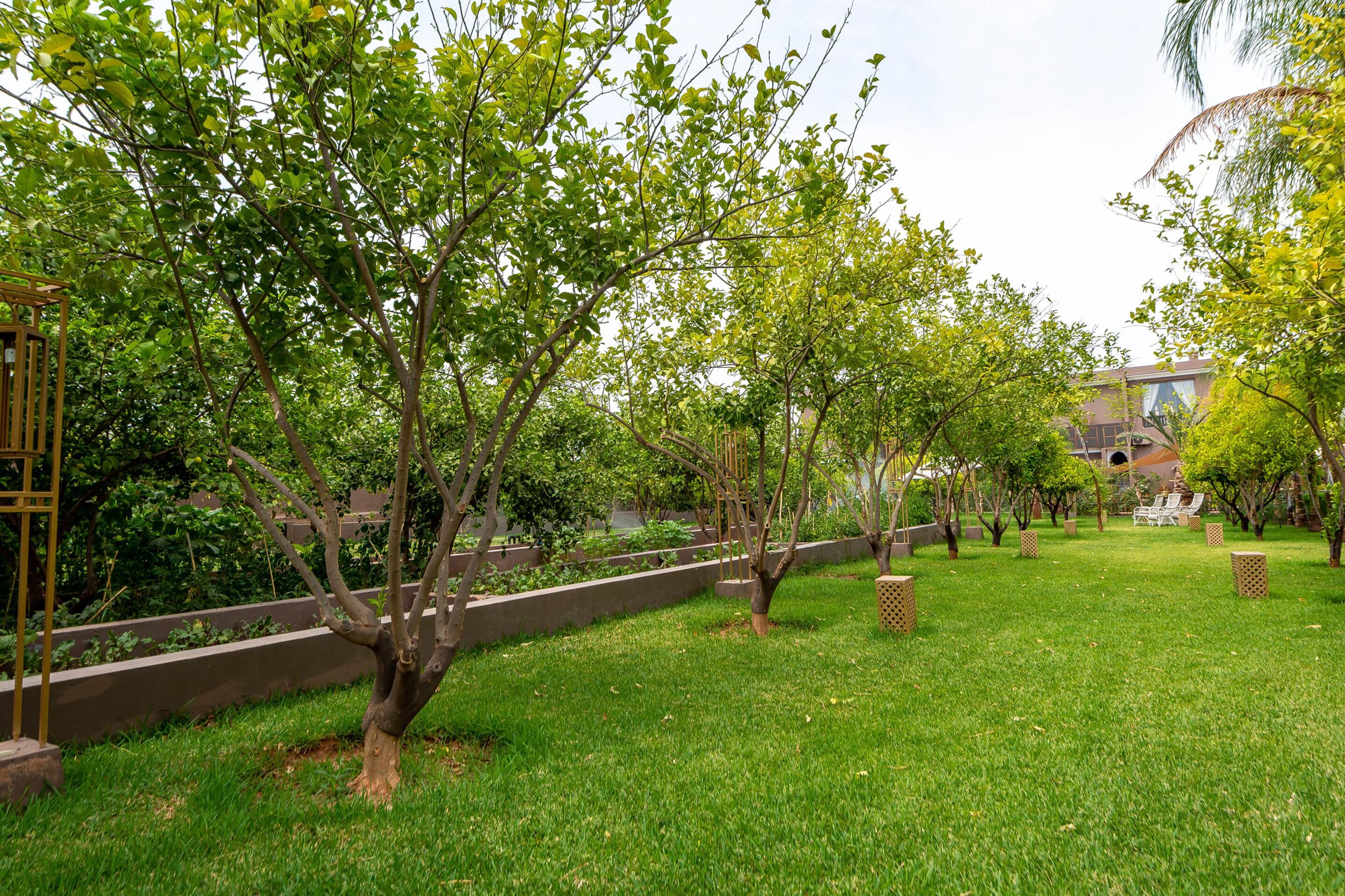 The Lemonary Marrakech