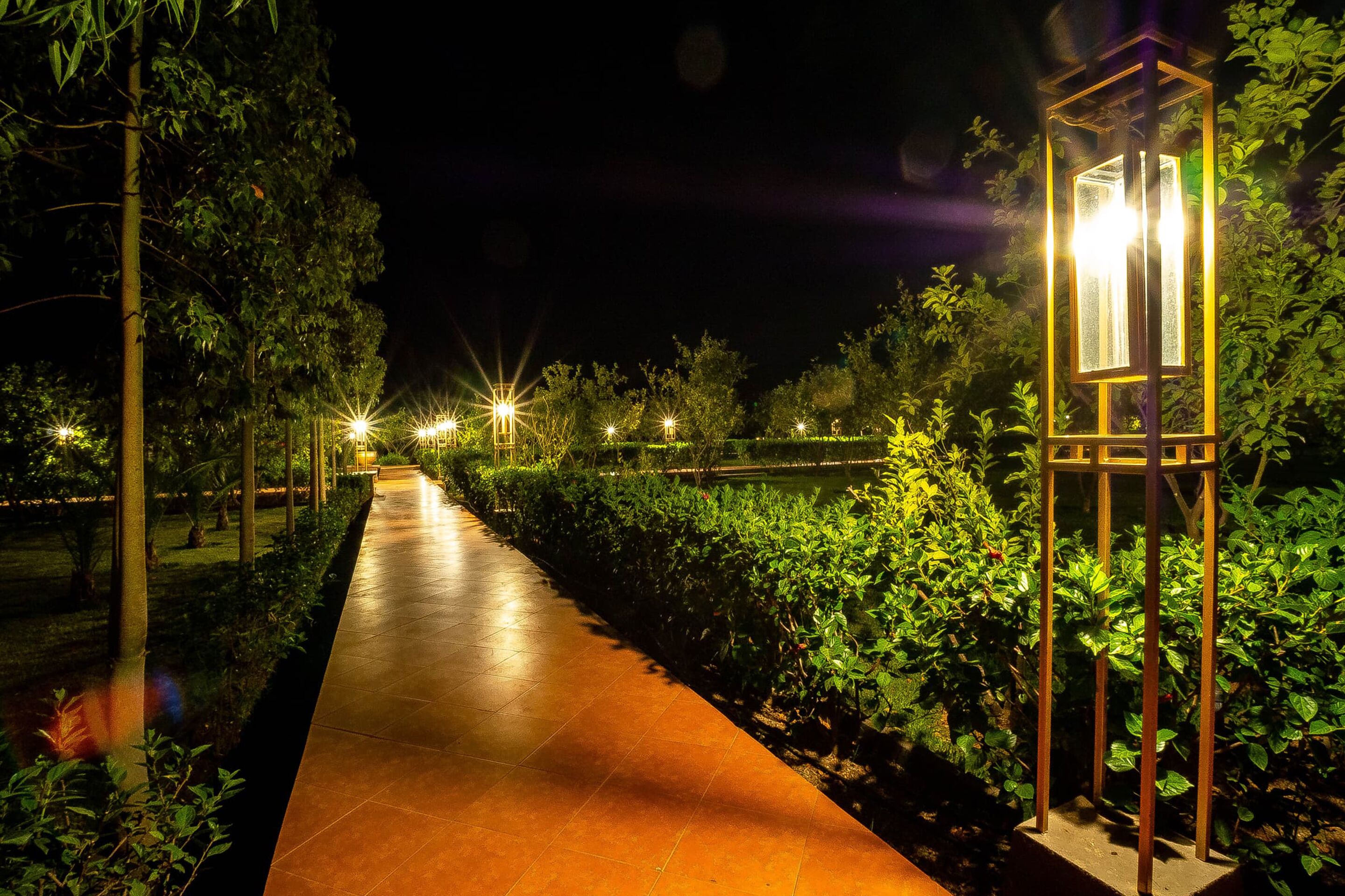 The Lemonary Marrakech