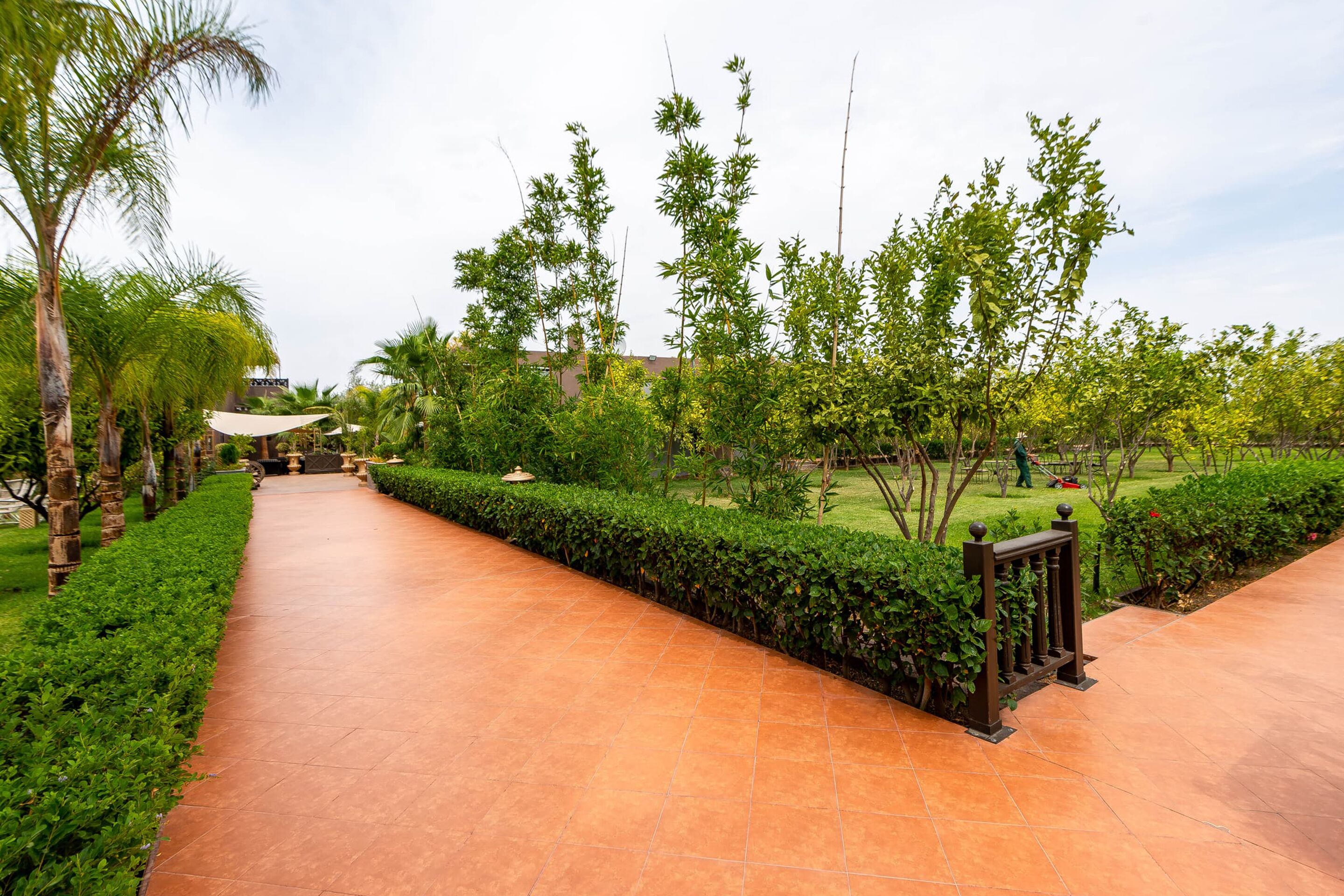 The Lemonary Marrakech