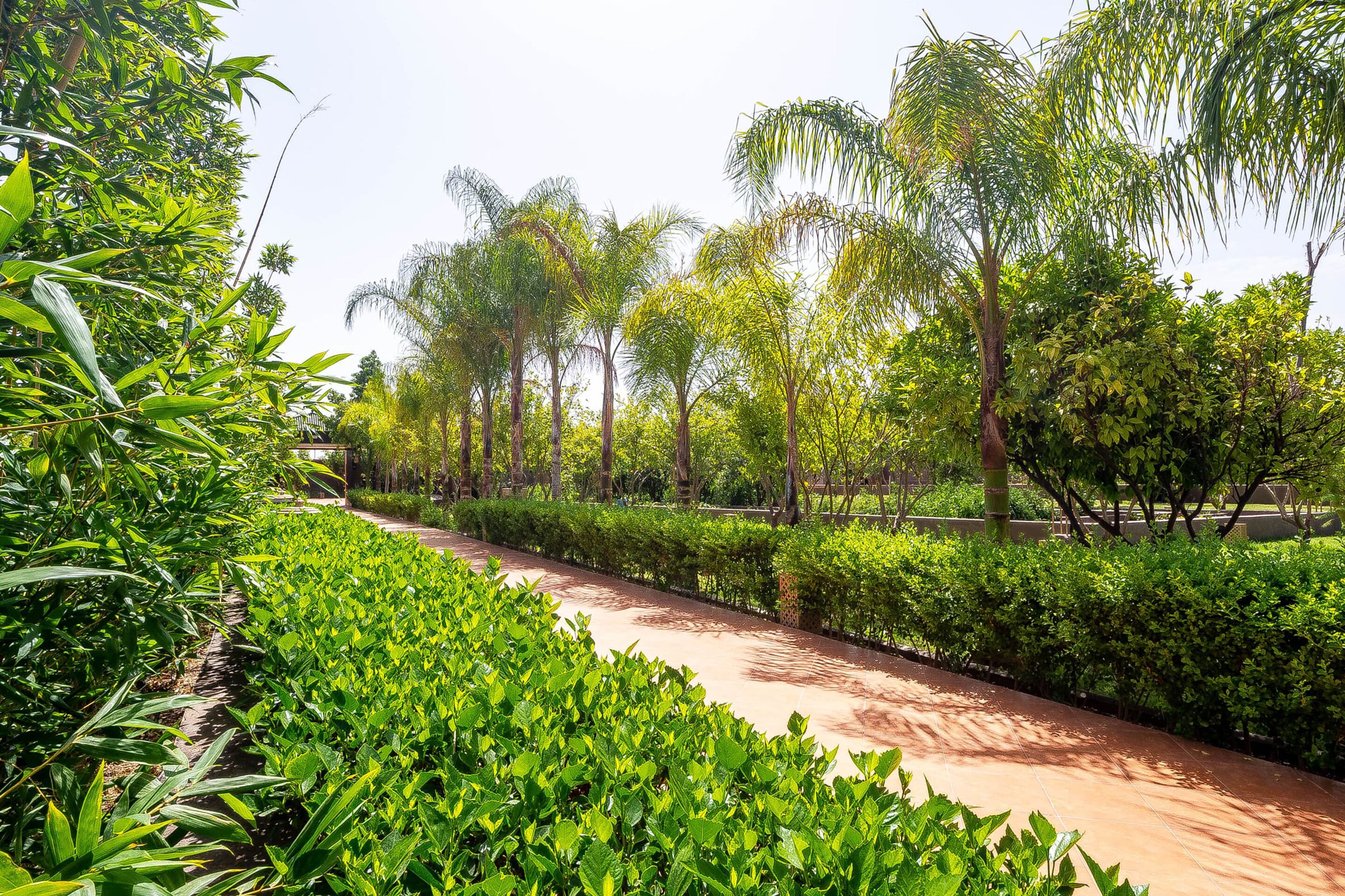 The Lemonary Marrakech