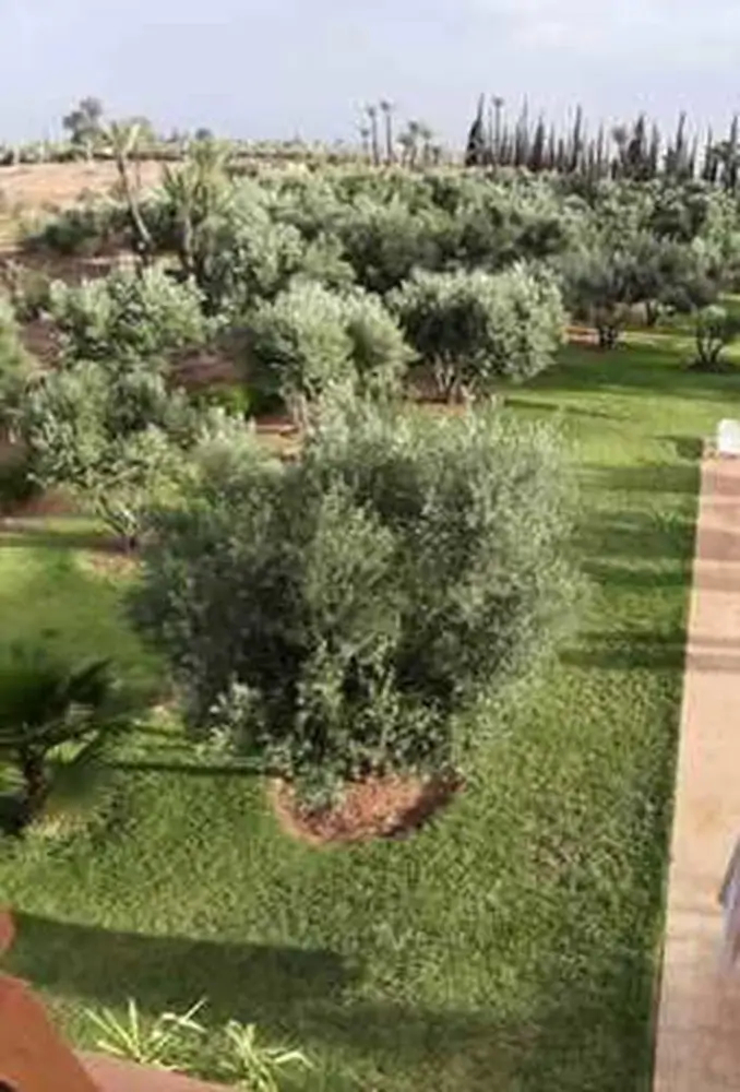Villa AH MN