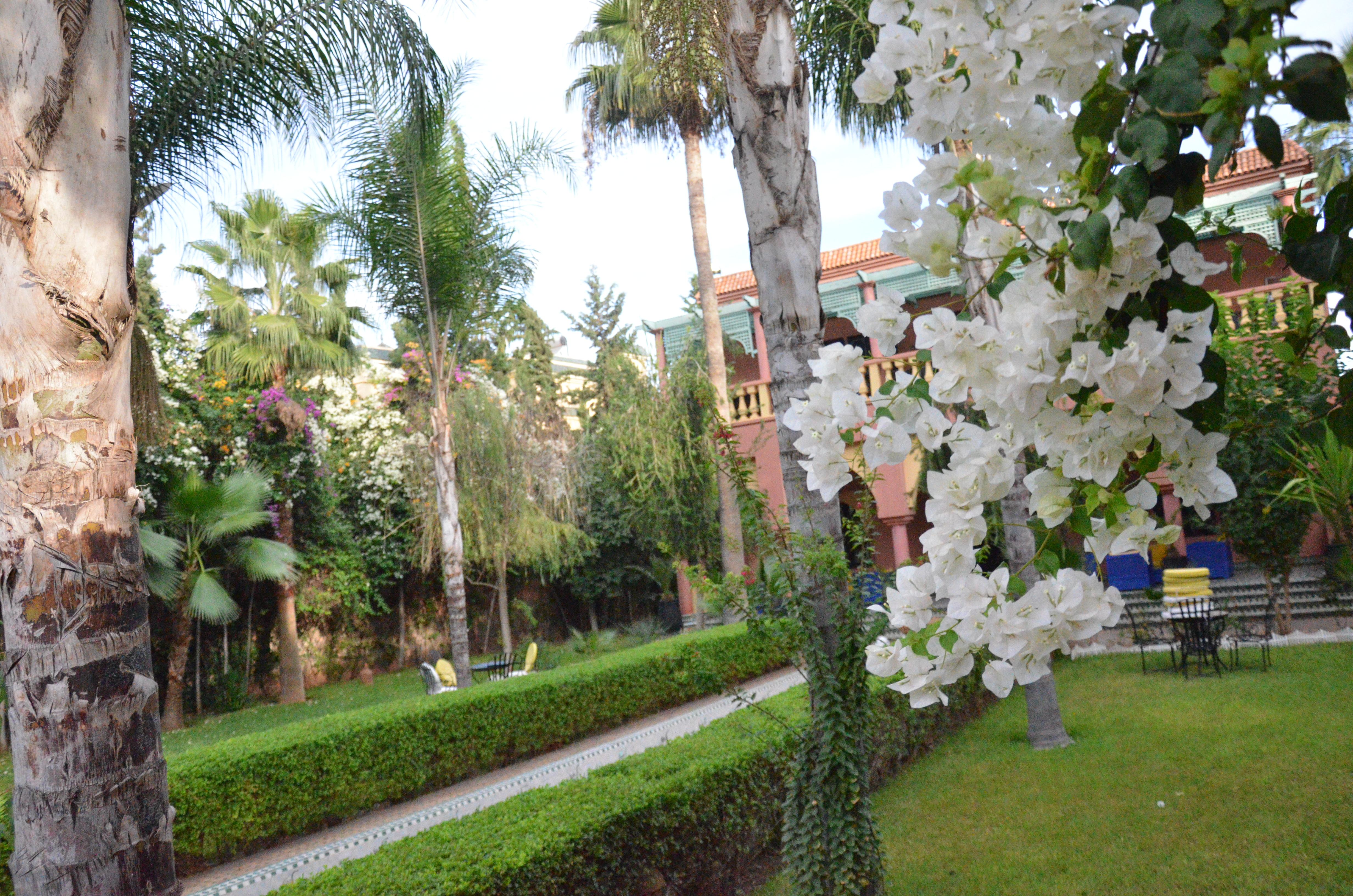 Villa Guest