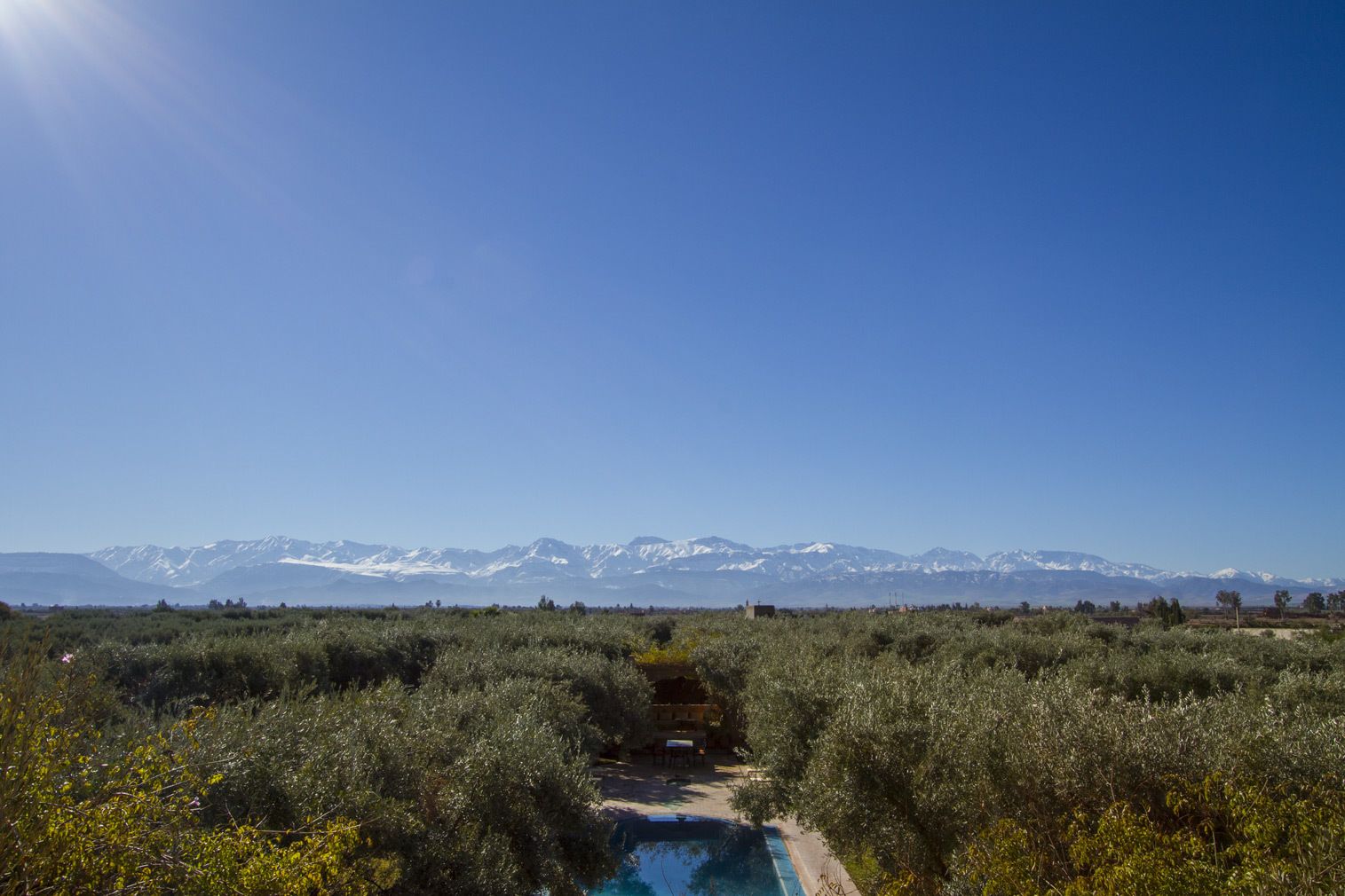 GreenLife Marrakech