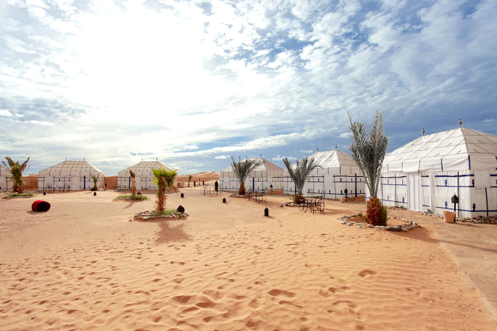 Bivouac Chergui Sahara