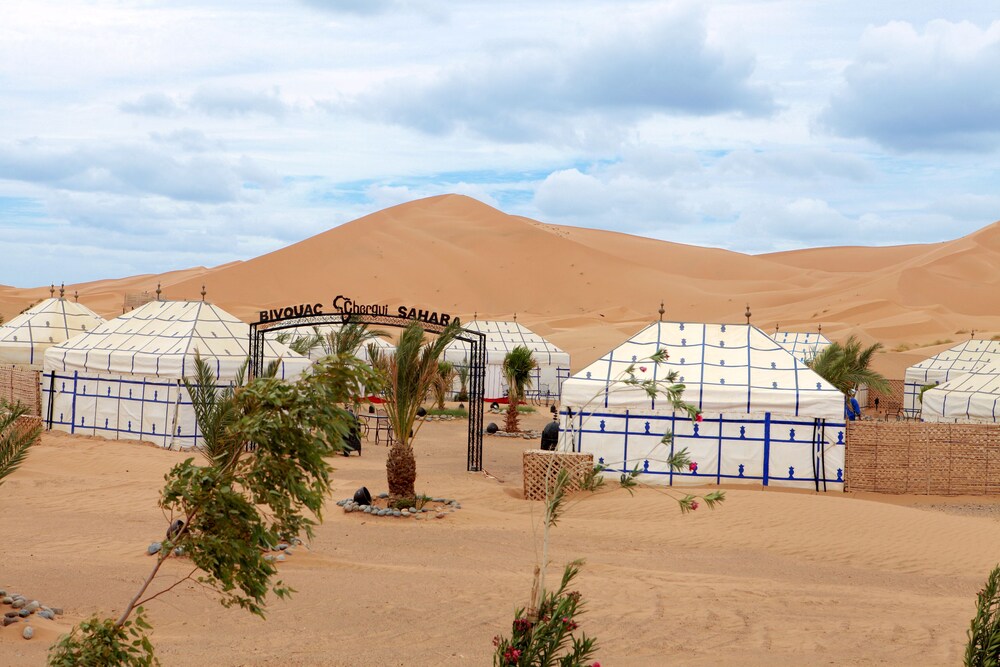 Bivouac Chergui Sahara