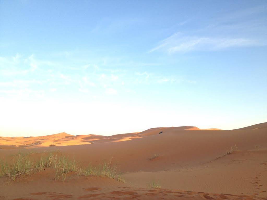 Camels House