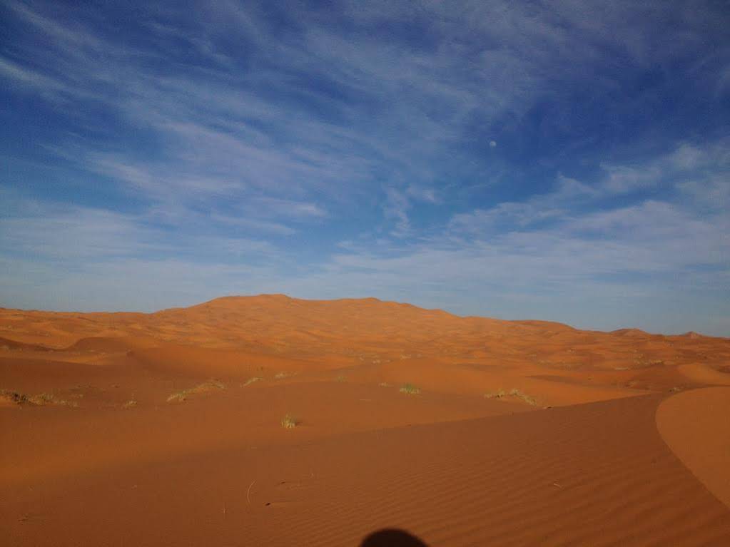 Camels House