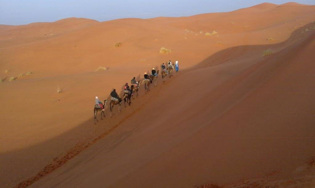Camels House