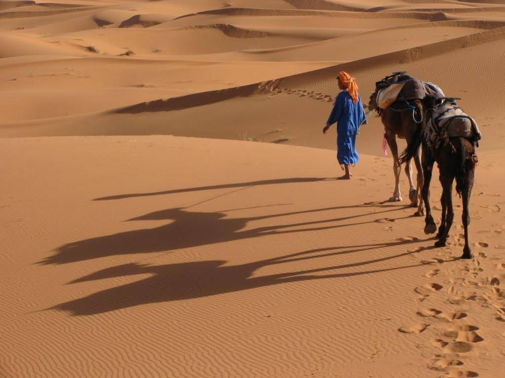 Camels House