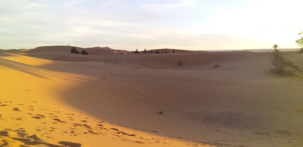 Maison Bedouin Merzouga