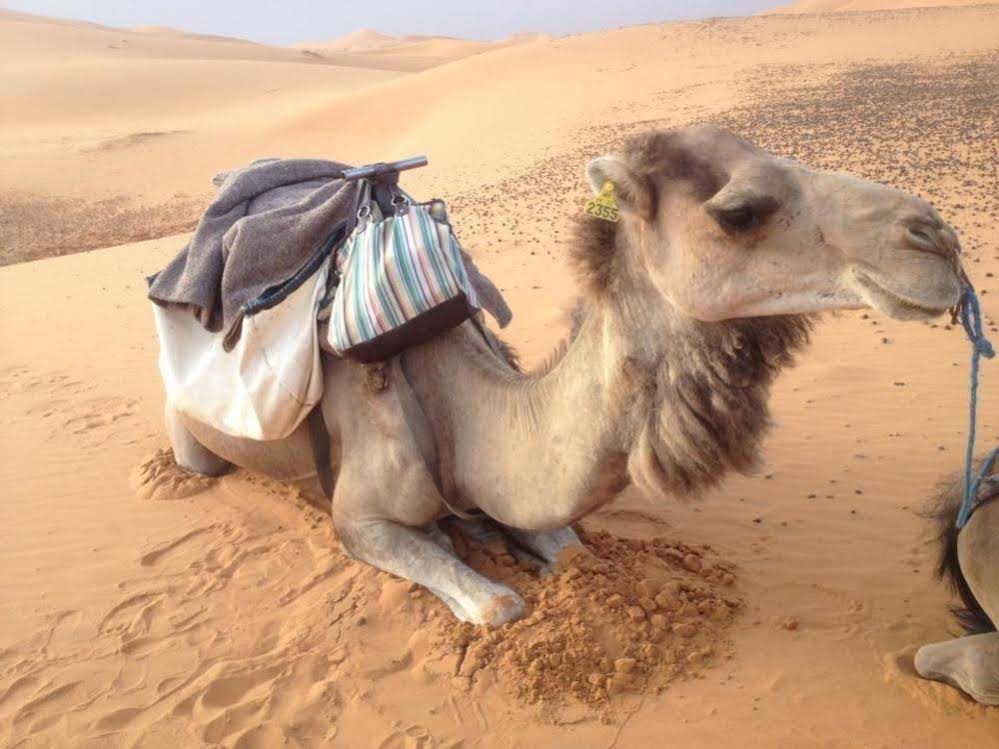 Merzouga Camp