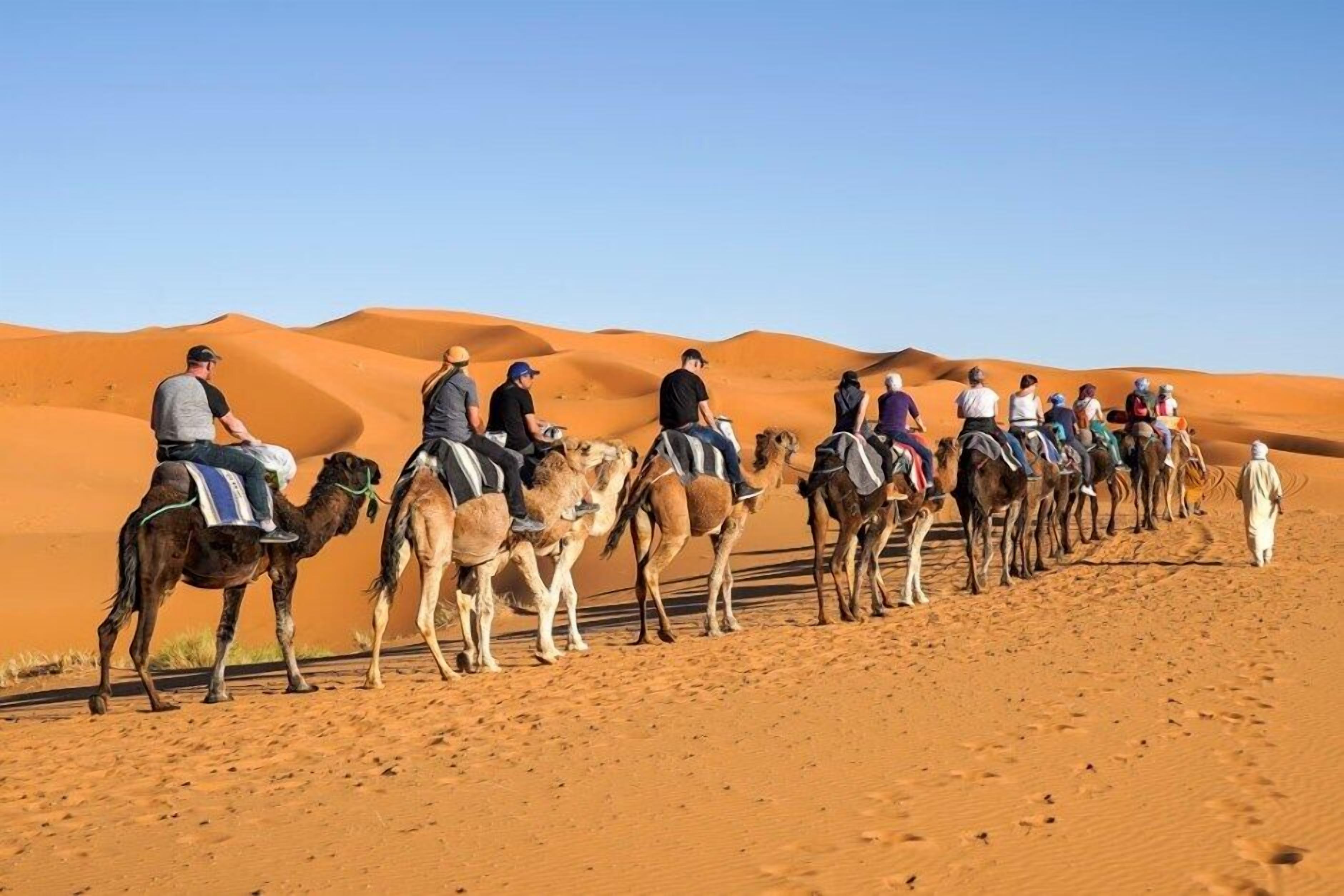 Yakout Merzouga Luxury Camp