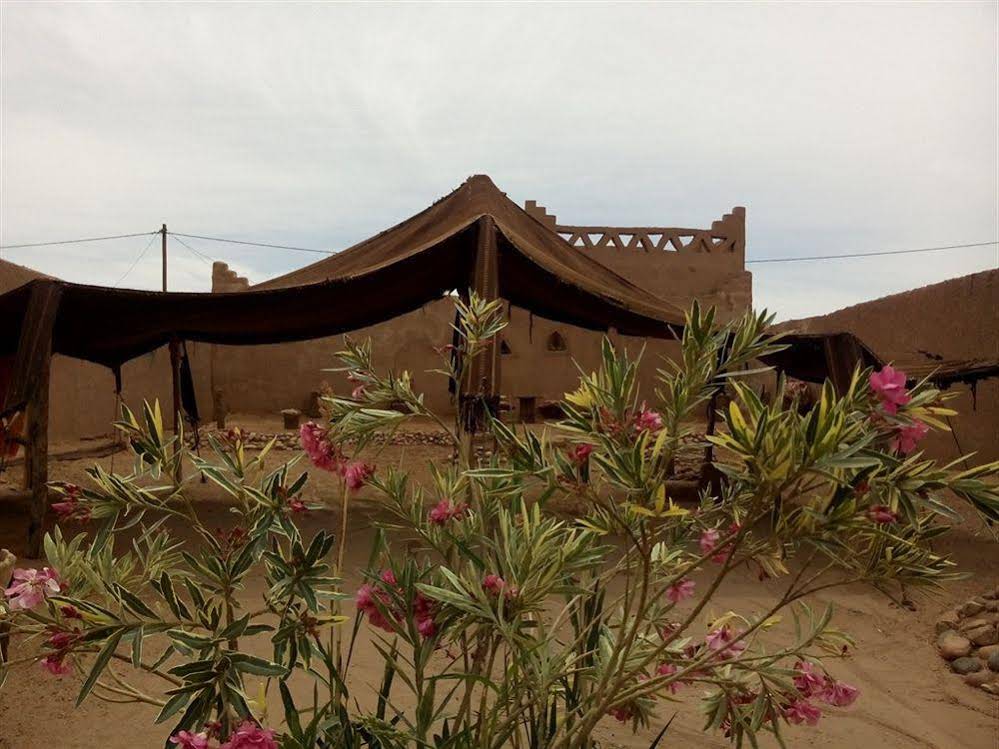 Auberge Kasbah Dar Sahara Tours - Hostel