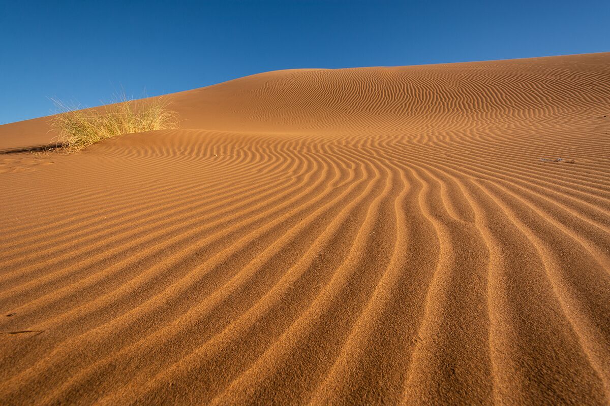 Bivouac Joudour Sahara